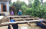 [ẢNH] Cuộc sống người dân Quảng Bình ảnh hưởng nặng nề do mưa lũ kéo dài